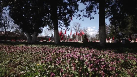 Turkish Martyrs Memorial Stock Footage 336222472