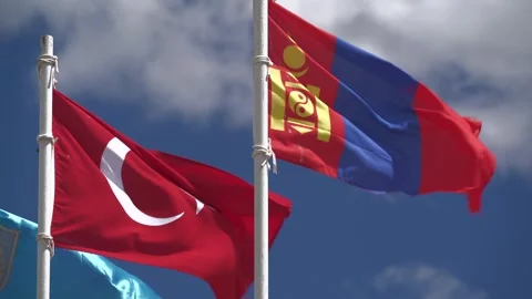 Turkish Mongolian flags waving on white iron pole, national emblems in partly 스톡 동영상 333819678
