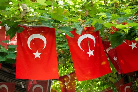 Turkish national flags on string in view Stock Photos