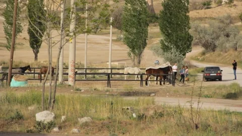 Turkish Road Stock Footage 169086156