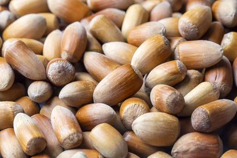 Turkish Shelled Hazelnuts Background, flat layout. Stock Photos