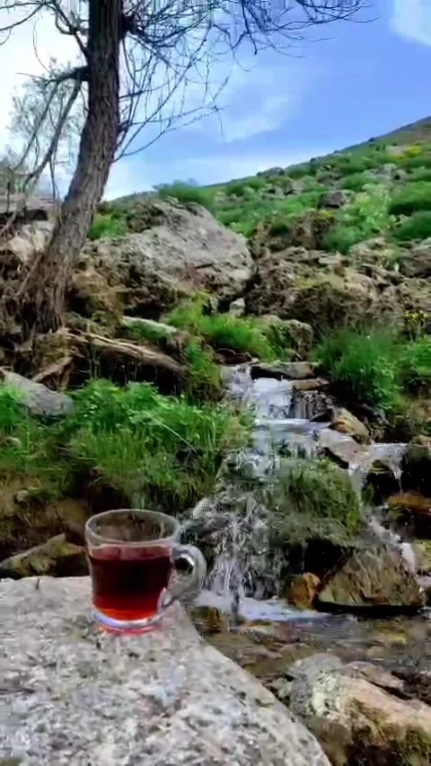 Turkish Tea Cup on Rock by Mountain Stream in Eastern Turkey 動画素材 335029388