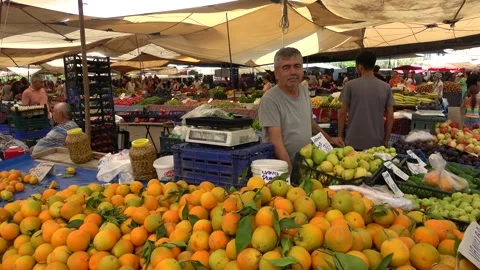 Turkish vendor standing at fruit stall looking at camera Stock Footage 344972564