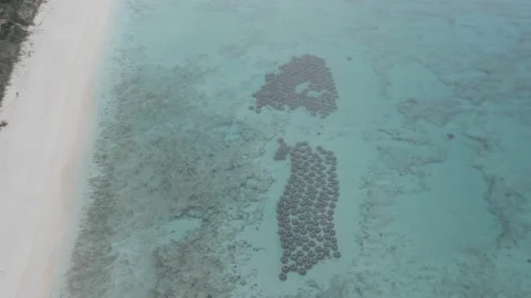 Turks and Caicos Malcom Beach Reef fly over Stock Footage 141404927