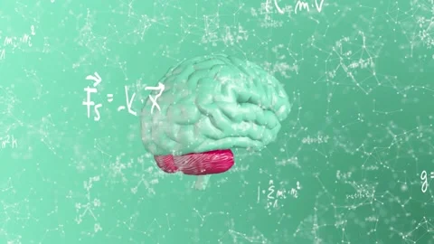 Turkuaz Plexus Brain Background Stock Footage 155332180