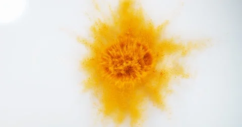 Turmeric, curcuma longa, Powder Exploding against White Background, Indian Sp Stock Footage 112352938