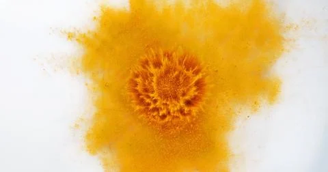 Turmeric, curcuma longa, Powder Exploding against White Background, Indian .. Stock Photos