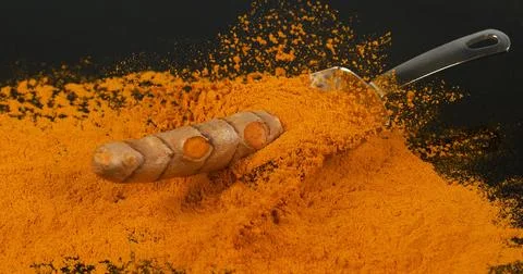 Turmeric, curcuma longa, Root falling on curcuma Powder, Indian Spice Foto stock