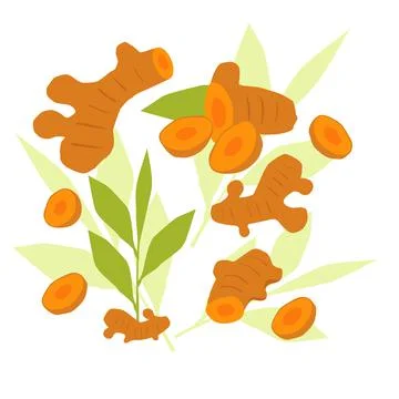 Turmeric elements abstract vector design background Stock Illustration