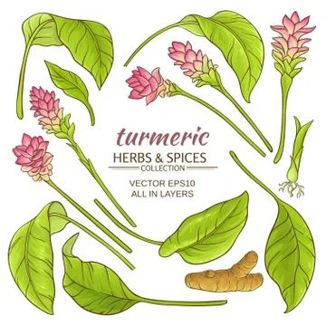 Turmeric elements set Illustrazione stock