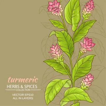 Turmeric flower background Illustrazione stock