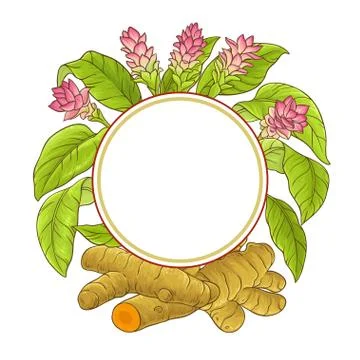Turmeric plant vector frame Illustrazione stock