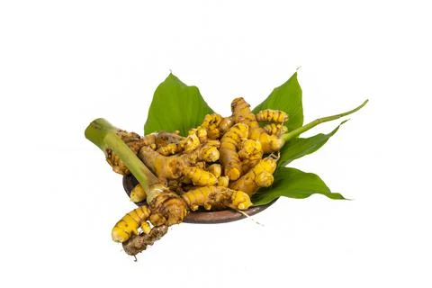 Turmeric root, and ground spice Stock Photos