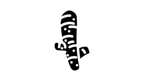 Turmeric root ayurvedic herb glyph icon animation Stock Footage 326738688