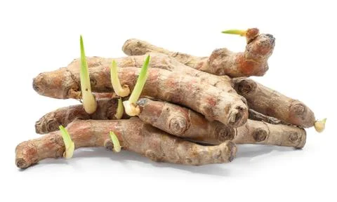 Turmeric root isolated on white background Stock Photos