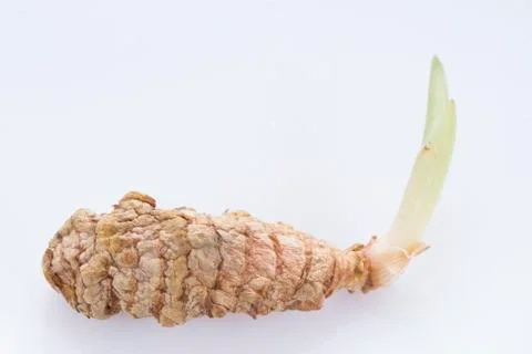 Turmeric root isolated on white background Stock Photos
