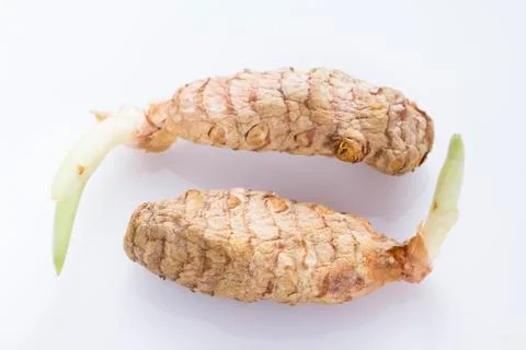 Turmeric root isolated on white background Stock Photos