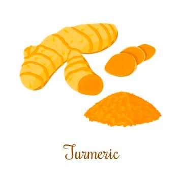 Turmeric root with powder isolated Stock Illustration