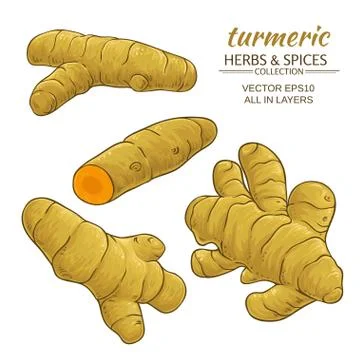 Turmeric roots set Stock Illustration
