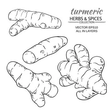 Turmeric roots set Stock Illustration