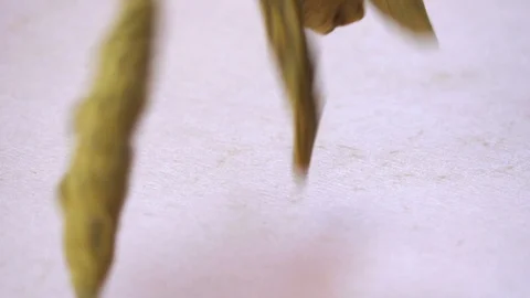 Turmeric Sticks Dropping On Pink Surface, Slow Motion 250 FPS Видео 92147546