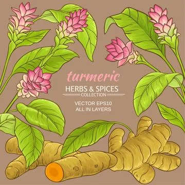 Turmeric vector frame Illustrazione stock