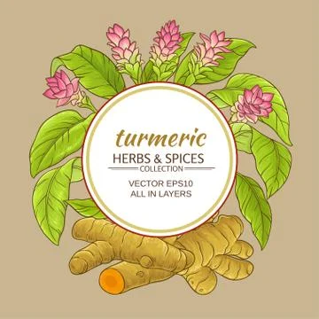 Turmeric vector frame Illustrazione stock