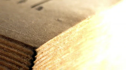 Turn over the leaves Stock Footage 516152