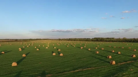 Turn to the right field rolls of hay Stock Footage 67531992