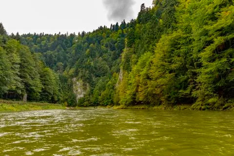 The turn of the river Dunajec Stock Photos