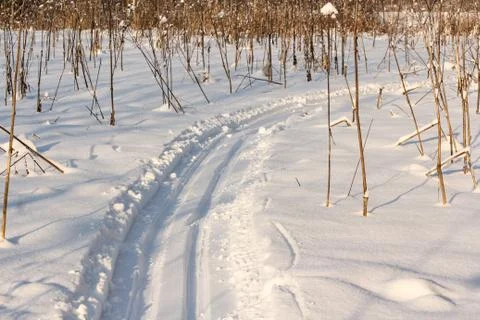 Turn on the ski track. Photos