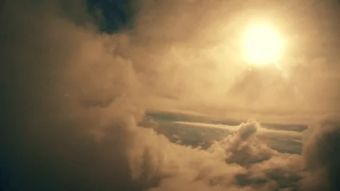 Turn towards the sun Video stock 93604476