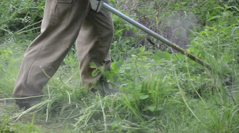 Turn view of gardener cut high grass with trimmer cutter tool Stock Footage 33702163