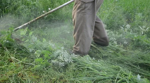 Turn view man with cutter tool mow weeds Stock Footage 40742776