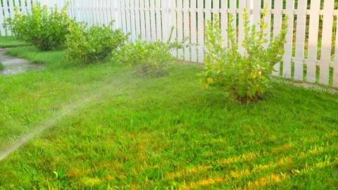 Turn off watering in the garden in the evening. Automatic watering of the lawn Stock Footage 269164523