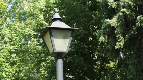 Turned off black lamp light post with trees behind in park outside outdoors Stock Footage 249421545