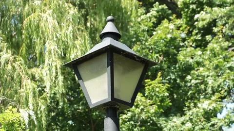 Turned off black lamp light post with trees behind in park outside outdoors Stock Footage 249421651