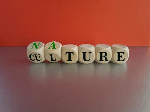 Turned wooden cubes and changes the word culture to nature. Foto stock