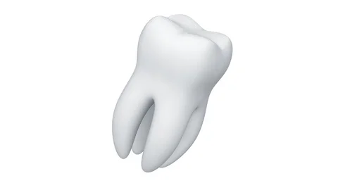 Turning around tooth. 4K resolution. Looping. Alpha channel. Stock Footage 88432467