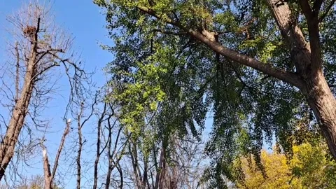 Turning Around Video Video stock 256182359