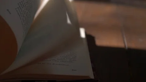 Turning book pages Stock Footage 115846212