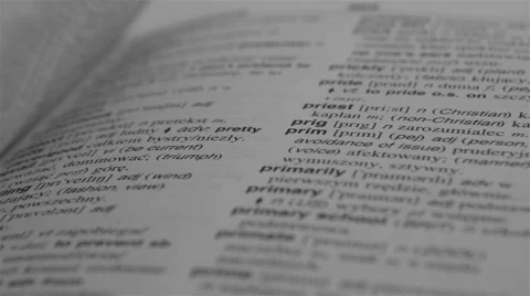 Turning Dictionary Pages Stock Footage
