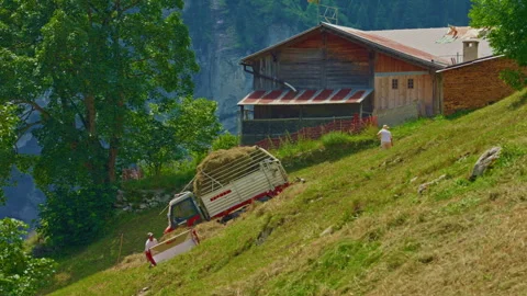 Turning dry grass at steep meadow in the Swiss Alps on a sunny. Switzerland Stock Footage 301891688