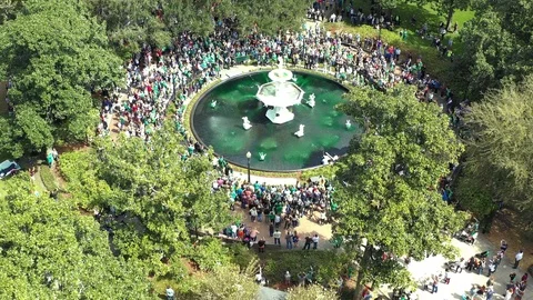 Turning Green Vídeo Stock 104259698