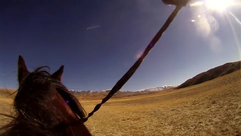 Turning a Horse by Pulling the Reins Stock Footage 234315045