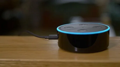 Turning On Light with Amazon Echo Voice Control Stock Footage