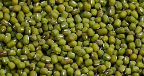 Turning on mung beans 库存影片 162623893