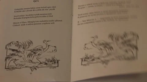 Turning pages of book in the library at the wind Stock-Footage 54462173