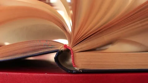 Turning pages of book in the library at the wind Stock Footage 54915672