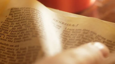 Turning pages of Old Testament Vidéo 24655285